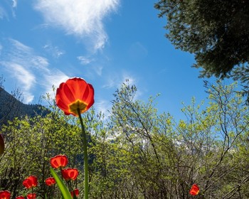 Шоанинский храм, трансфер в аэропорт