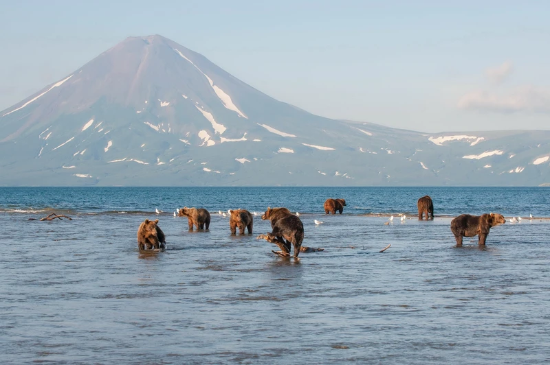 Увидеть душу Камчатки: джип-тур по неизведанным местам с круизом по Курильскому озеру (всё включено)