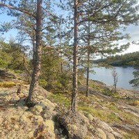 Фото отзыва 2: экскурсия "По Ладожским шхерам на экспедиционной лодке"