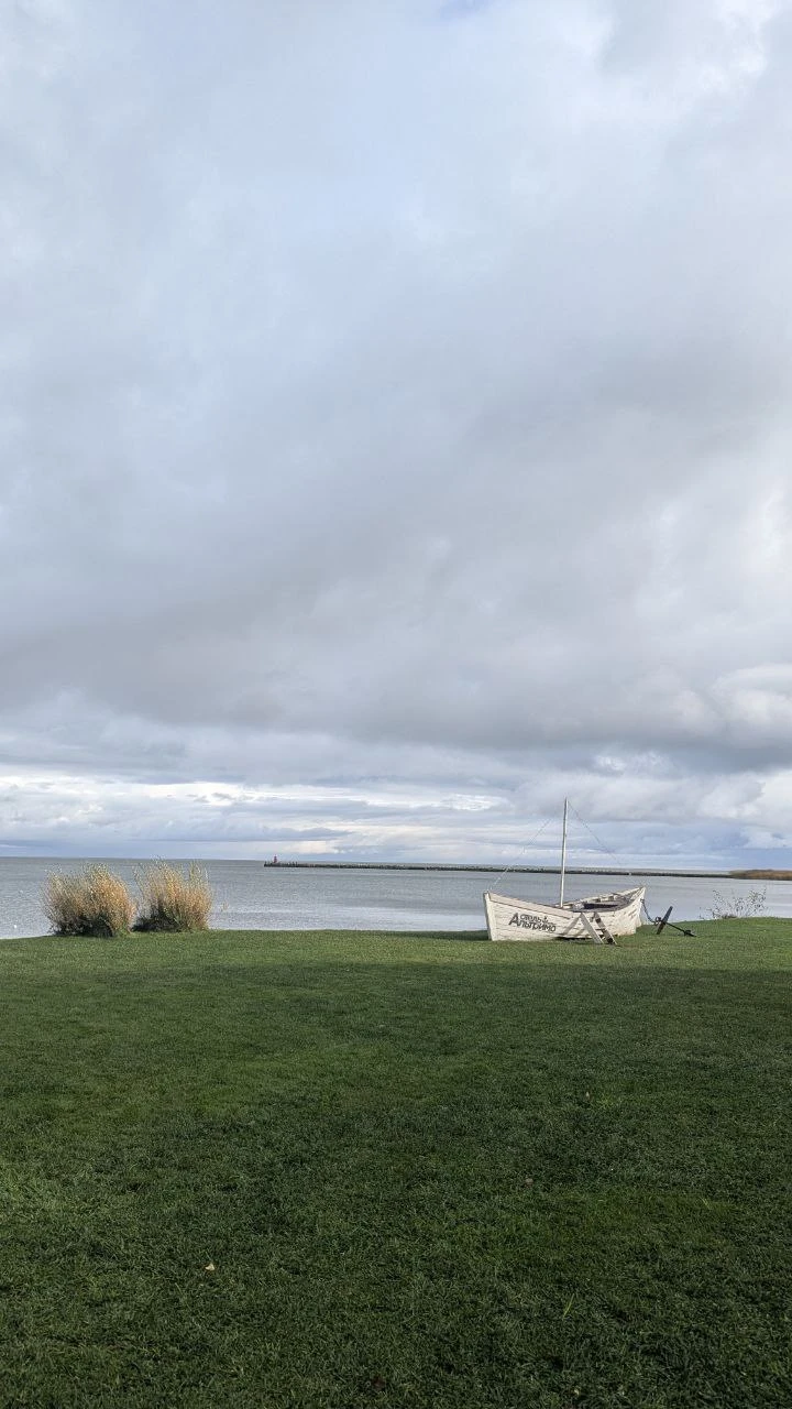 Куршская коса и Зеленоградск за 1 день (из Калининграда) (Соловьева)