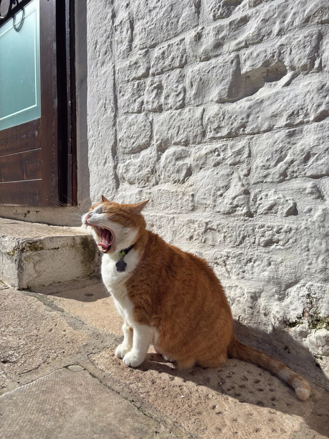 Потрясающая экскурсия, потрясающий гид, потрясающая Италия ❤️