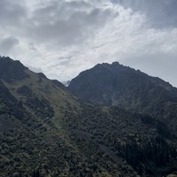reviews img