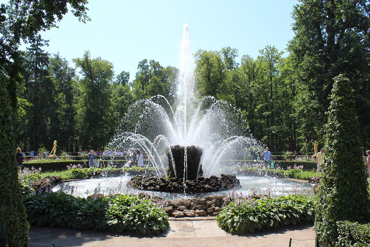 К фонтанам Петергофа в группе (5/15)