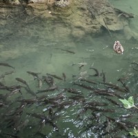 Фото отзыва 1: экскурсия "Древний город Перге и водопад Куршунлу"