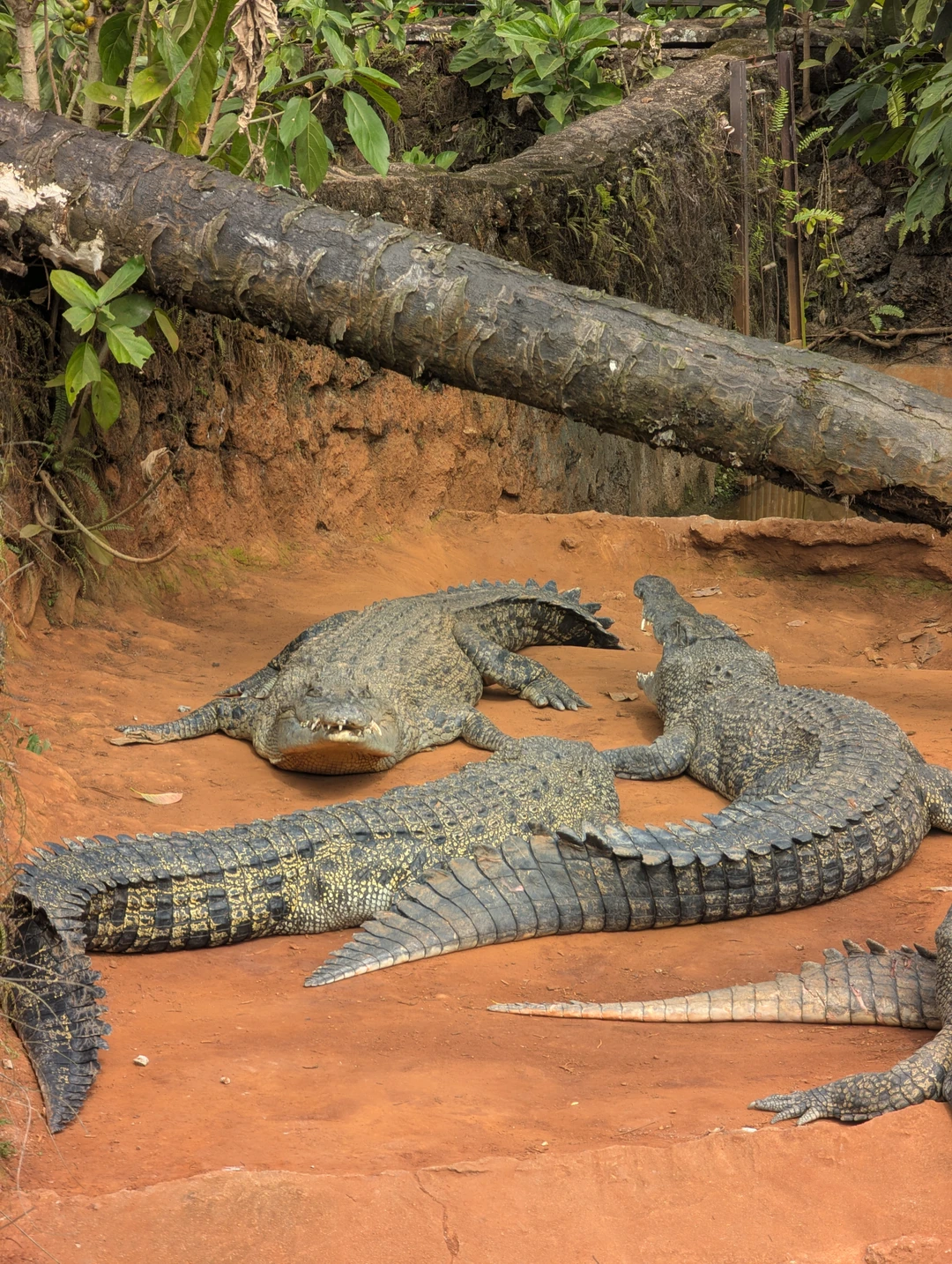 Ну поездка была не образовательная. Водитель, которые ехал с нами, хорошо говорил по русски, но это
