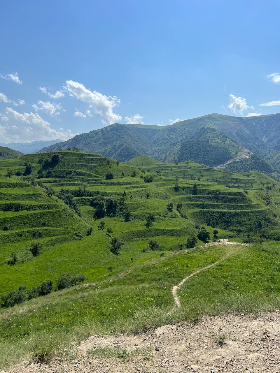 Отличная экскурсия! Живописная дорога,красивая природа вокруг, потрясающие панорамы! Гамсутль - очень атмосферное место!