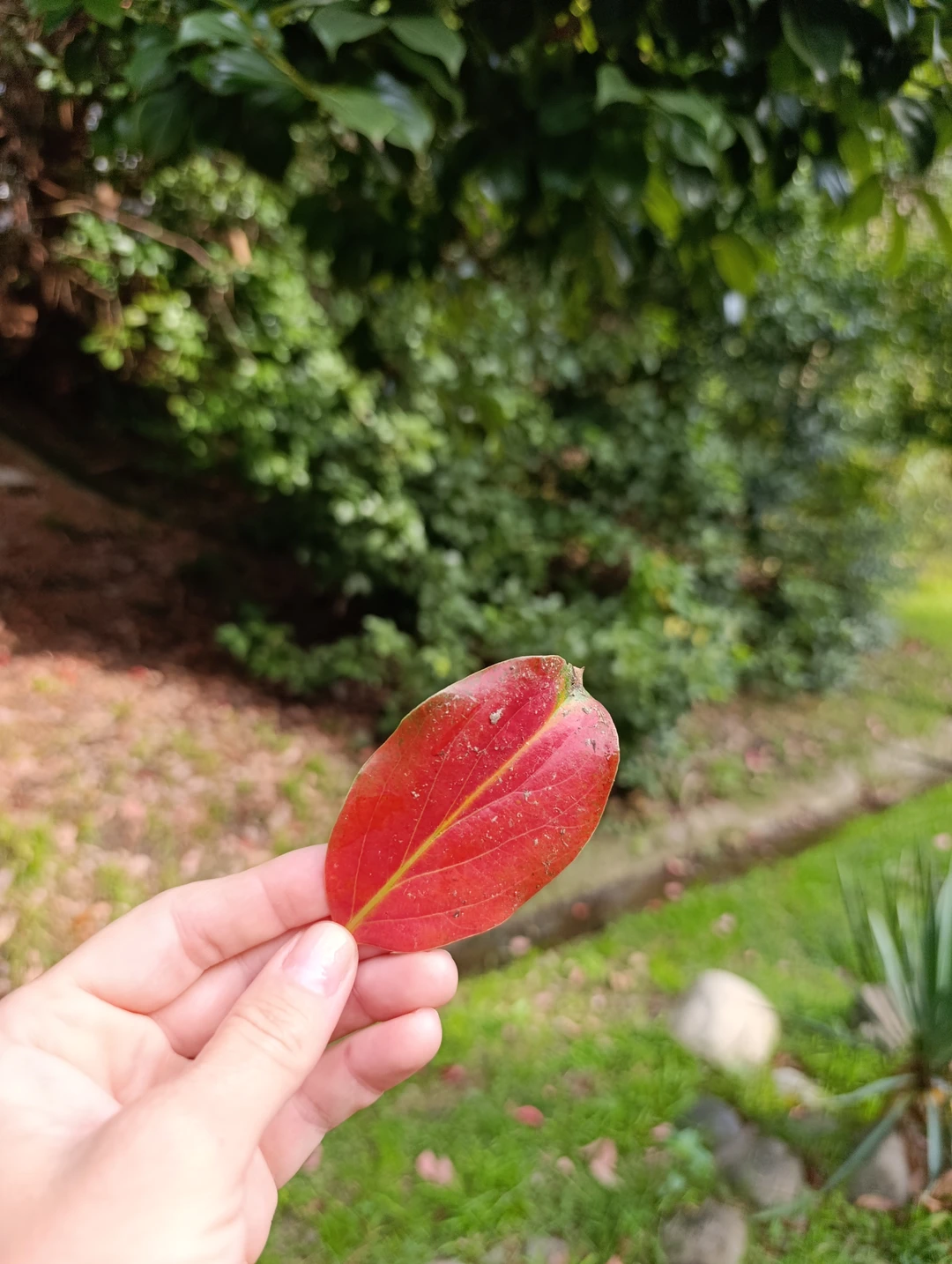 Действительно, жанр экскурсии - это "бродилка"! Но бродилка не в одиночку, а с экскурсоводом - местным