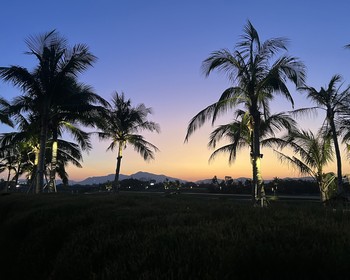 Свободный день