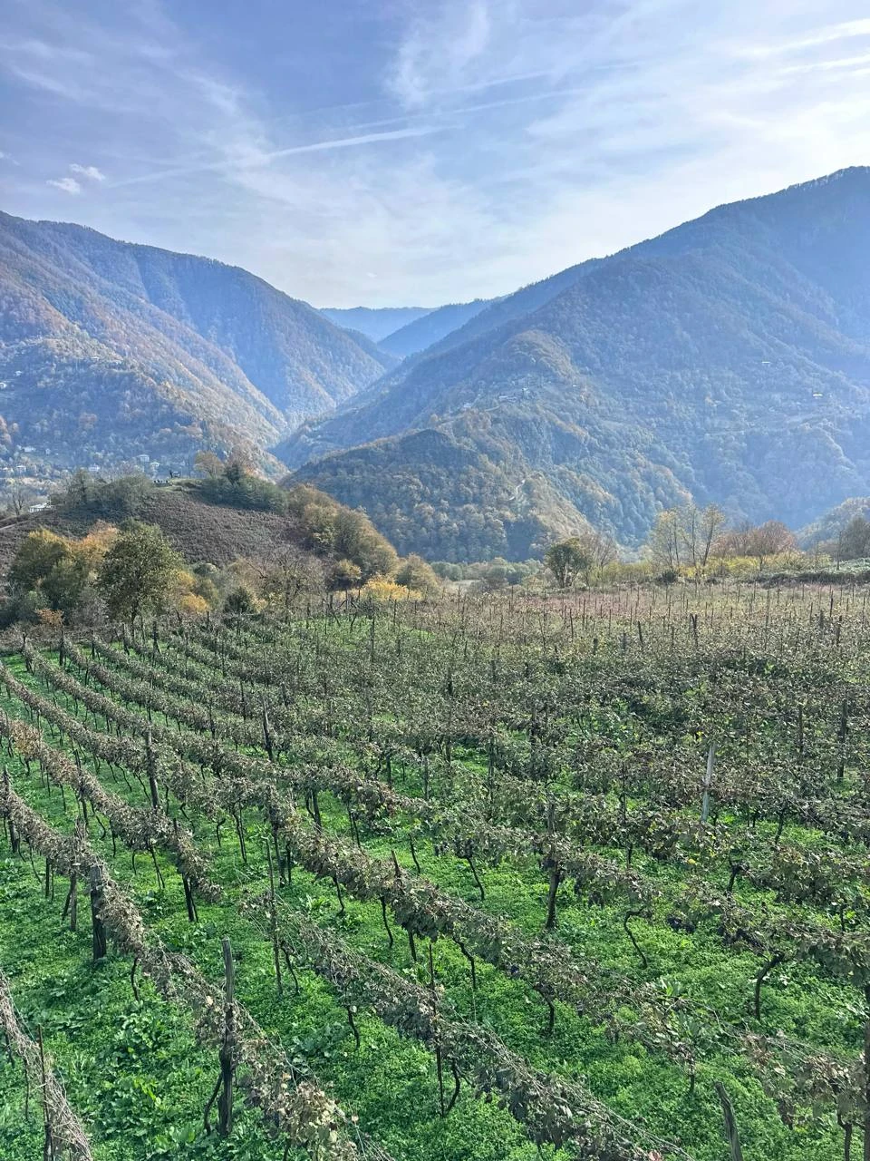 Добрый день!