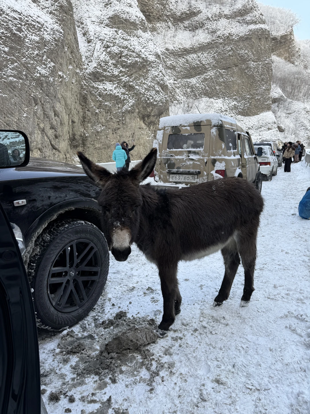 Едем в таинственную Северную Осетию из Ессентуков (Алевтина)