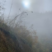 Отзыв о экскурсии "Прикосновение к облакам — в Гомисмта из Батуми" — фото 2