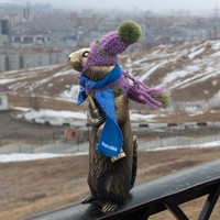 Фото отзыва 1: экскурсия "Здравствуй, Красноярск!"