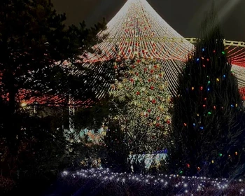 Дом Льва Толстого в Ясной Поляне, катание в упряжке, современная Тула, вкусы