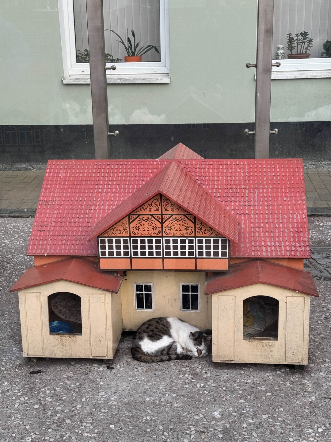 Куршская коса и Зеленоградск за 1 день (из Калининграда) (Давид)