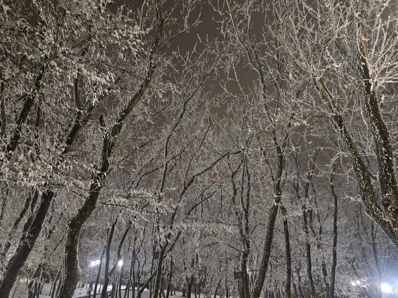 Очаровательное времяпрепровождение вечером в Пятигорске. Гид Даниил галантен и артистичен. В материале экскурсии больше истории и