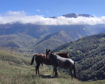 Эльбрус, озеро Гижгит, Поляну Нарзанов