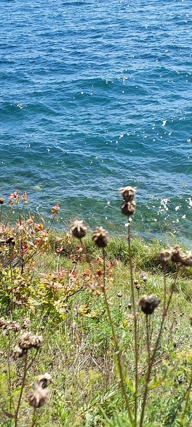 Замечательная поездка на Байкал! Благодарю гида Вячеслава и организатора Марину за прекрасно проведенный день на озере: