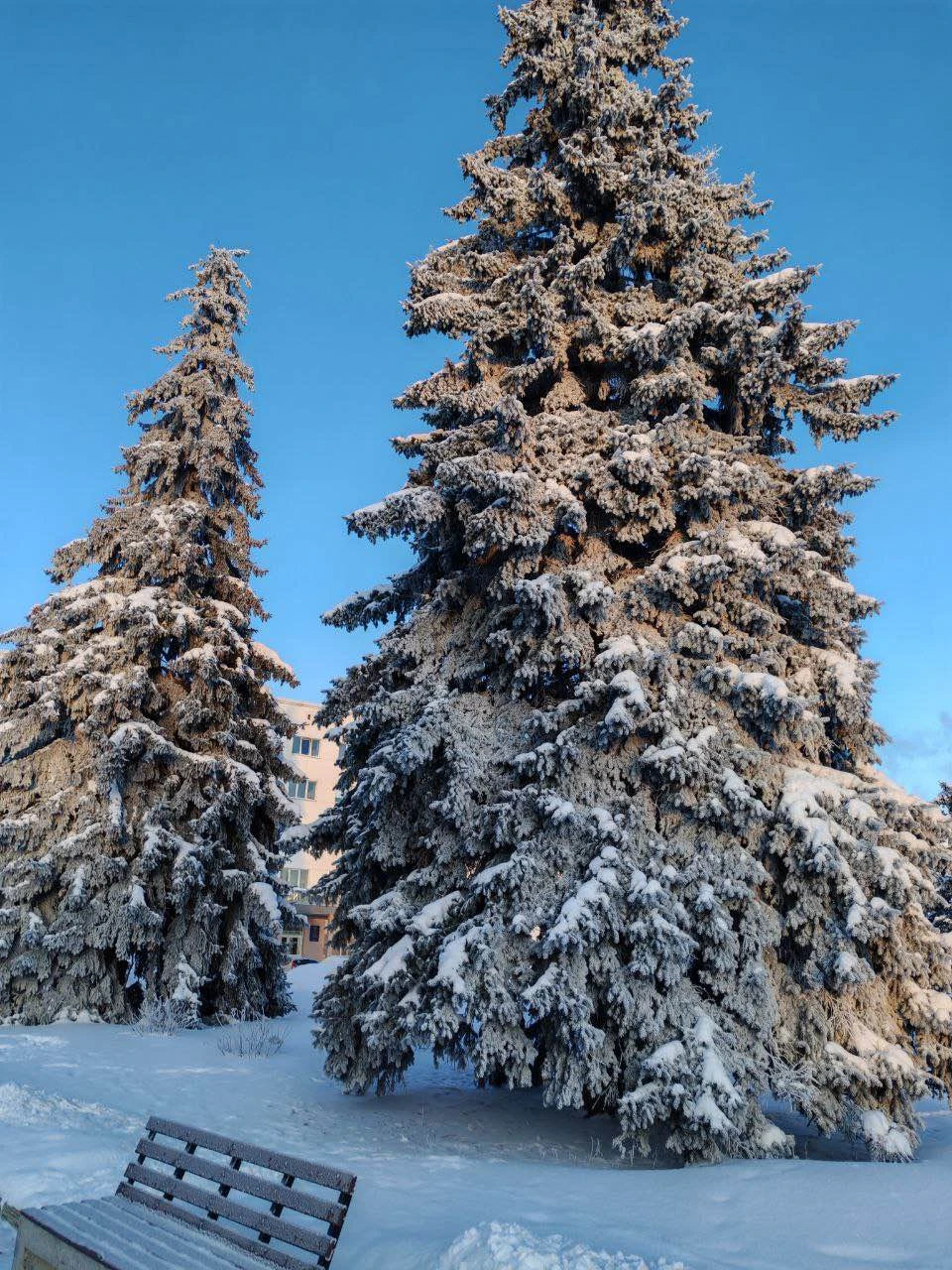Очень понравилась экскурсия, все было познавательно и интересно, много нового узнали😌
