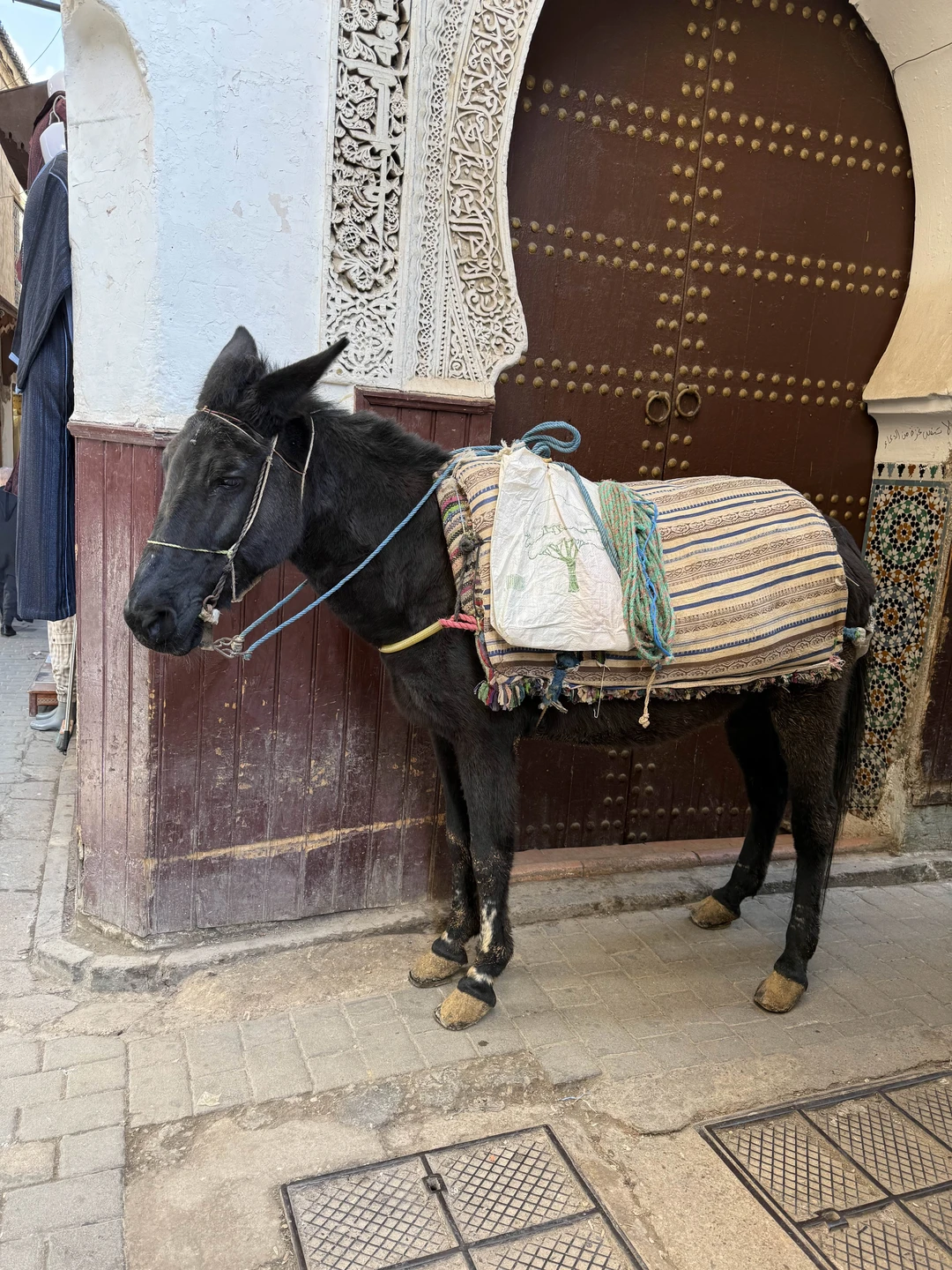 Это было незабываемо!!! Вы не пожалеете, если возьмете этот тур