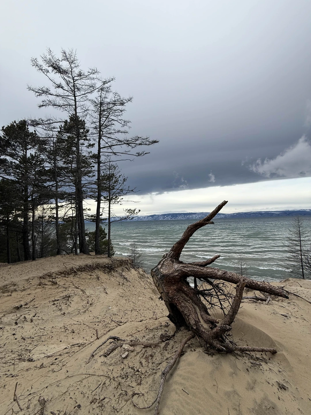 Отличная поезда. Огромное спасибо Сергею. Все очень продуманно. Доехали до самой северной точки острова. Незабываемые виды