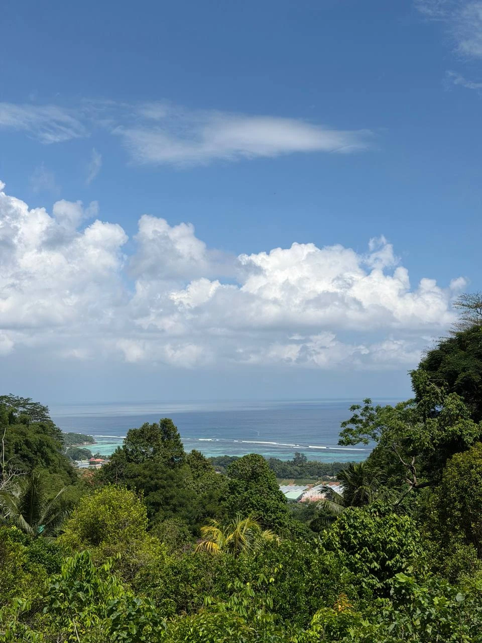 Сейшелы, которым есть чем удивить (Olga)