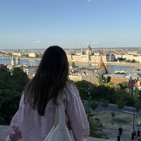 Фото отзыва 2: экскурсия "Будапешт как на ладони: семь лучших смотровых площадок Буды"