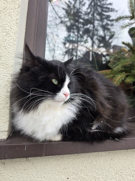 Путешествие в Балтийск, Светлогорск и Янтарный в небольшой группе (Zhenya)