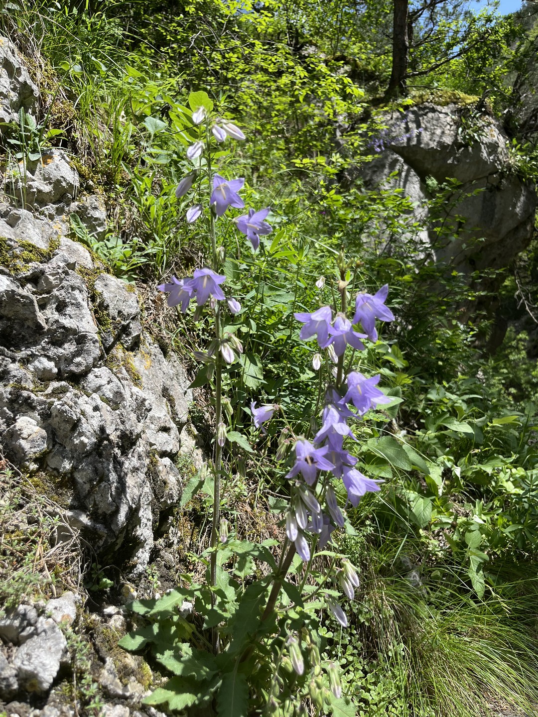 Хочу выразить огромную благодарность нашему гиду Артемию. Было очень интересно и увлекательно. Он как энциклопедия, знает