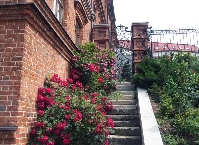 Фото отзыва 2: экскурсия "Неизведанный Екатеринбург"