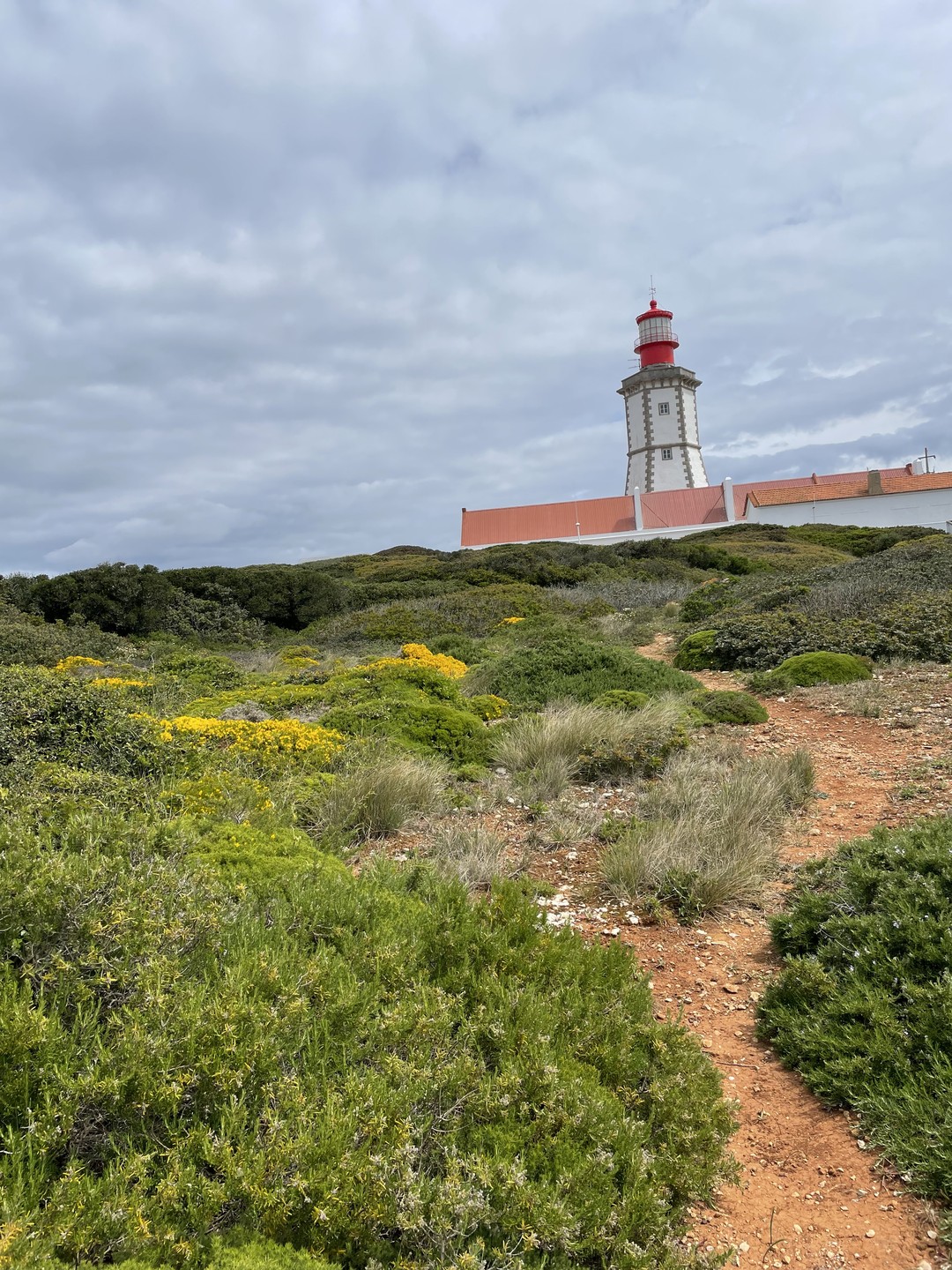 Огромное спасибо гиду Марианне! Мы получили огромное удовольствие от экскурсии, узнали очень много из истории Португалии