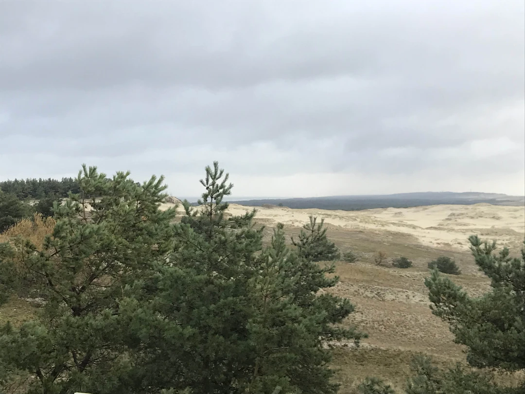 Куршская коса и Зеленоградск за 1 день (из Калининграда) (Юлия)