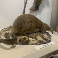 Фото отзыва 6: экскурсия "Из Ярославля в Кострому"