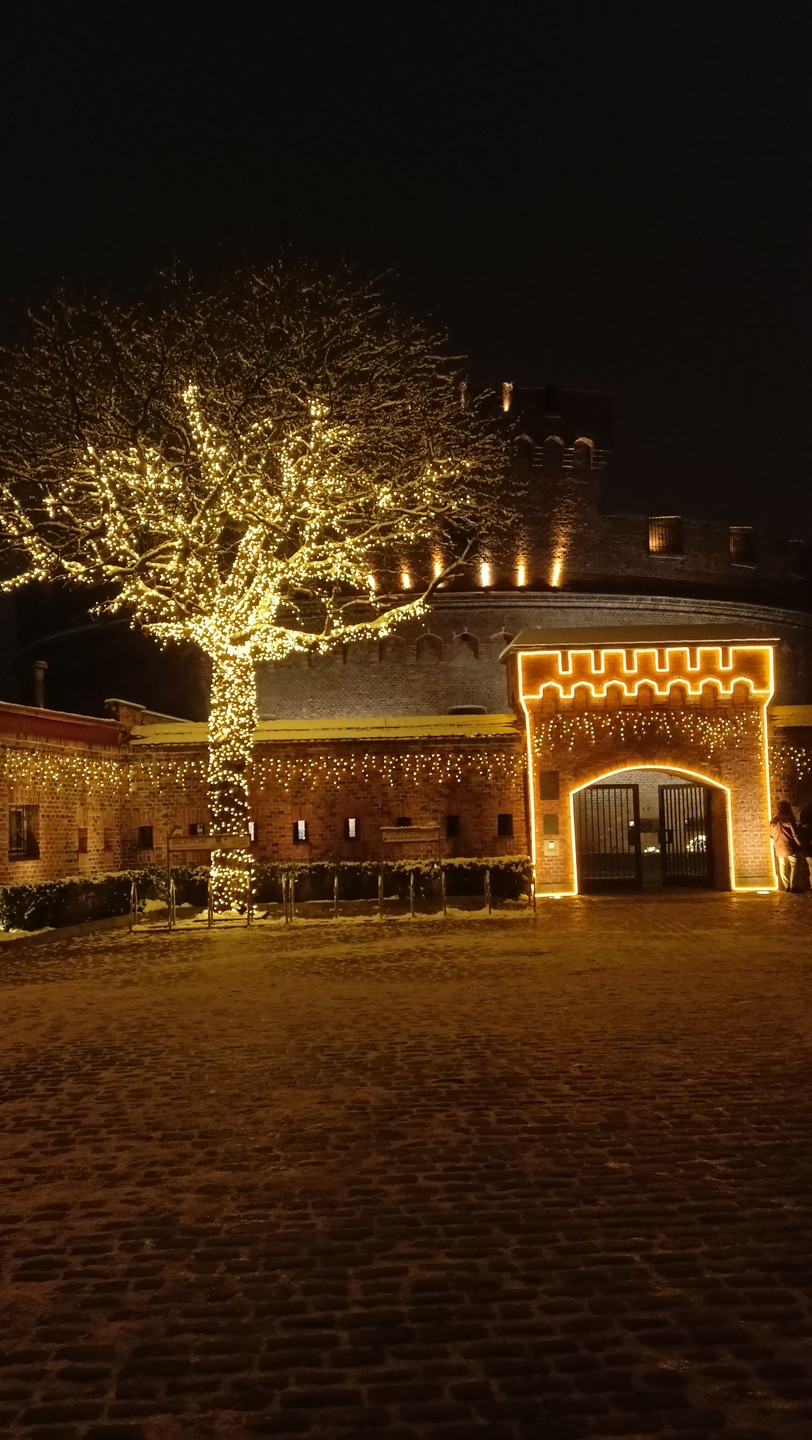 Рекомендую всем кто хочет больше узнать про историю Калининграда, задать больше вопросов и на все получить ответы. Спасибо.