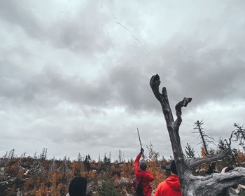 Прогулка с поиском грибов и ягод по горе Воттоваара