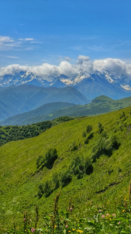 Достопримечательности трёх горных районов Чечни за 1 день