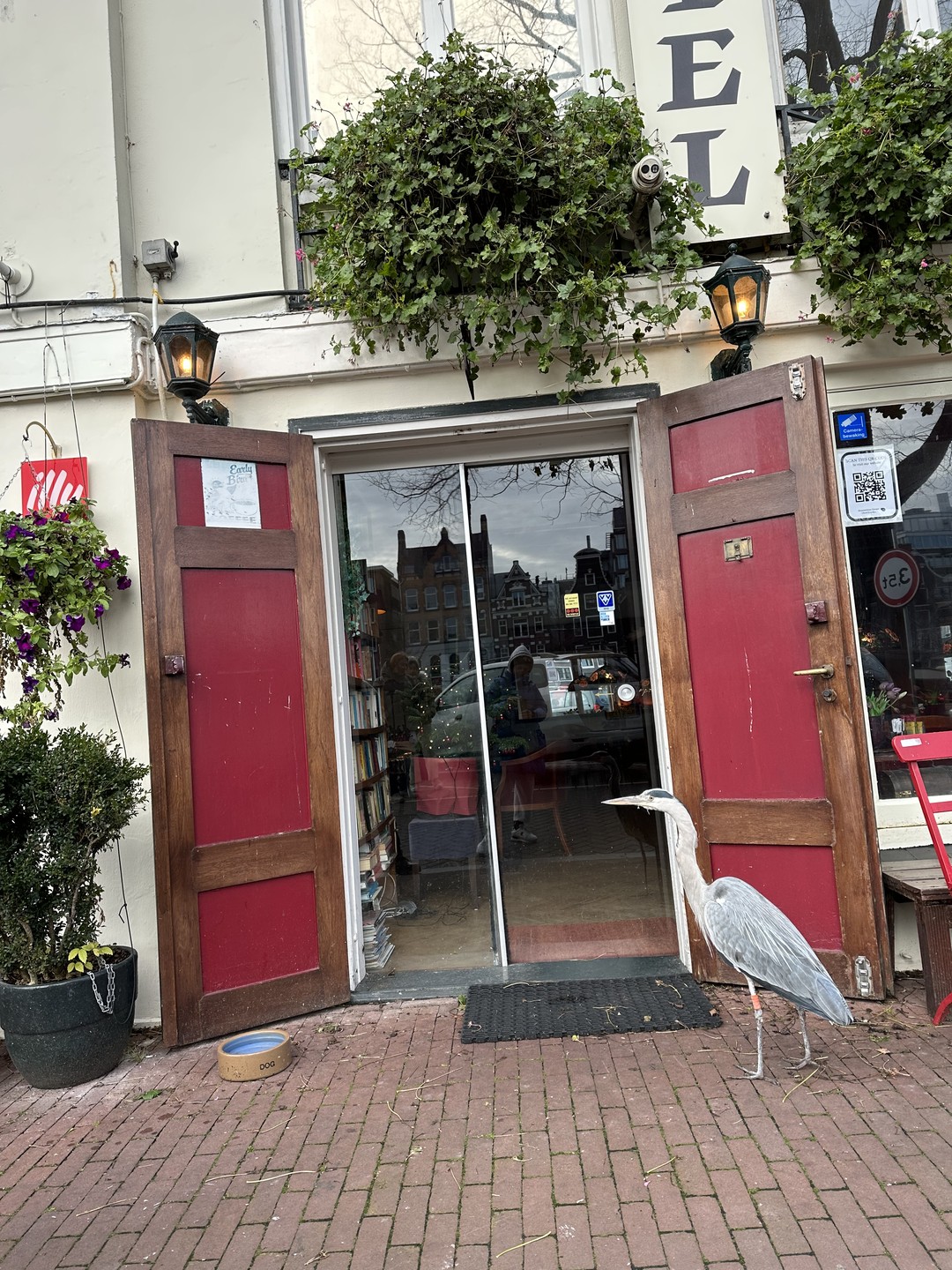 Эдам, Гауда, Маасдам и осмотр Амстердама (Лада)