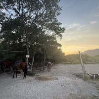Фото отзыва 2: экскурсия "Конная прогулка в горах Геленджика"