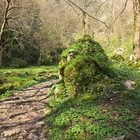 Фото отзыва 6: экскурсия "Новый взгляд на Абхазию: по местам съёмок фильма «Последний богатырь»"