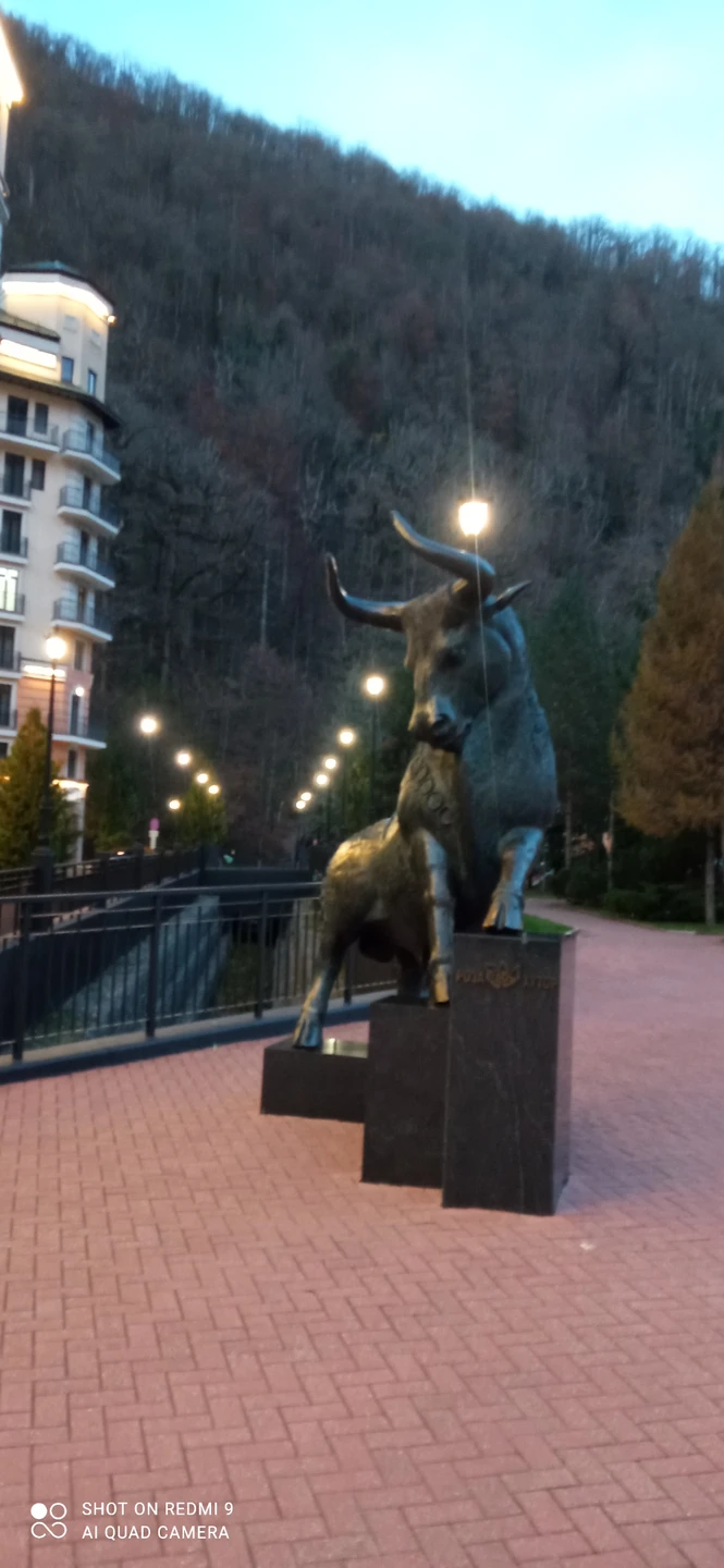 Хочется поблагодарить за увлекательную экскурсию отличного гида Марину с предельно аккуратным водителем. Все соответствовало ожиданиям и