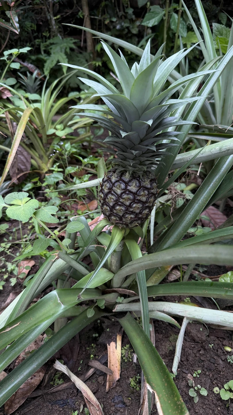 Вот вариант отзыва — живой, эмоциональный и «по-инстаграмному», но при этом информативный: