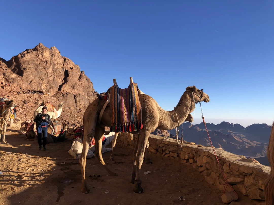 Были на этой экскурсии 28 января семьей, двое взрослых и дочери 19 и 12 лет. Легкой