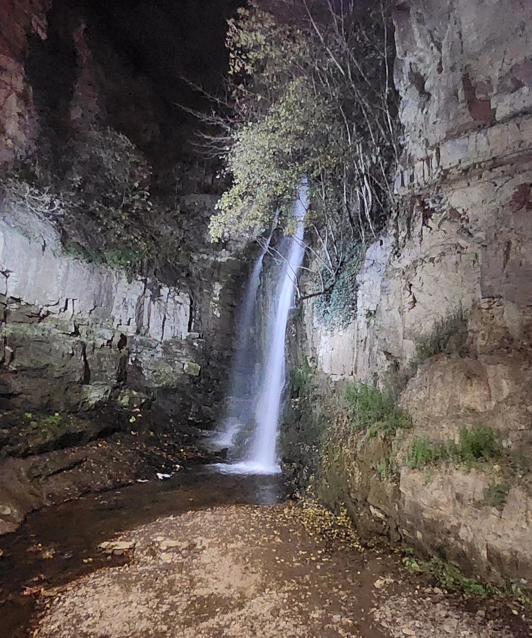 Выражаем огромную благодарность Анне. Прекрасная вечерняя экскурсия - первое знакомство с городом! Были вдвоём с сыном