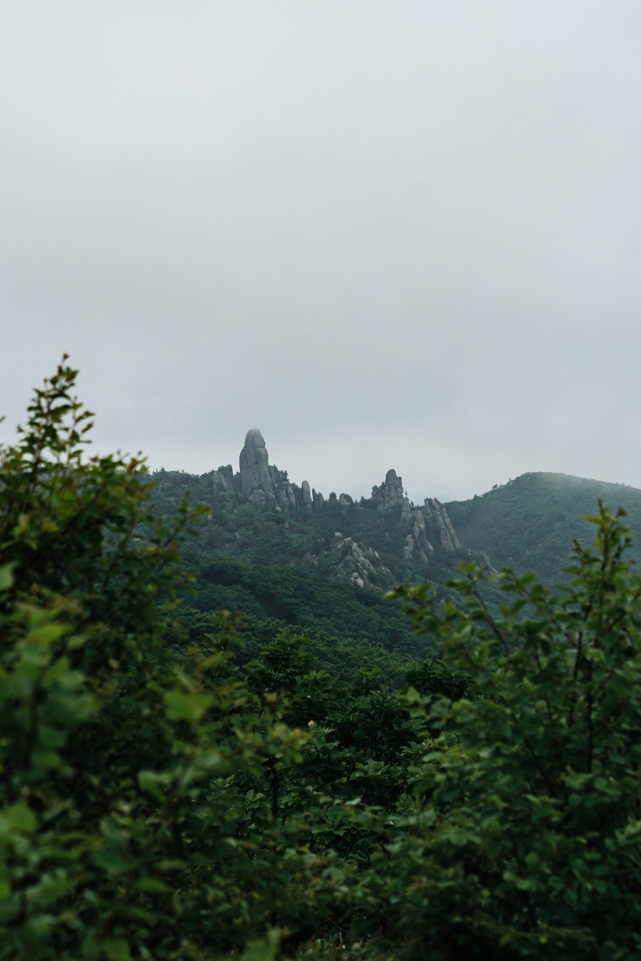Приморская Шотландия: из Владивостока — к мысу Лисученко (8/17)