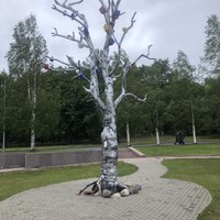 Фото путешественника — 7