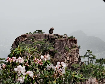 Восхождение на Хуаншань