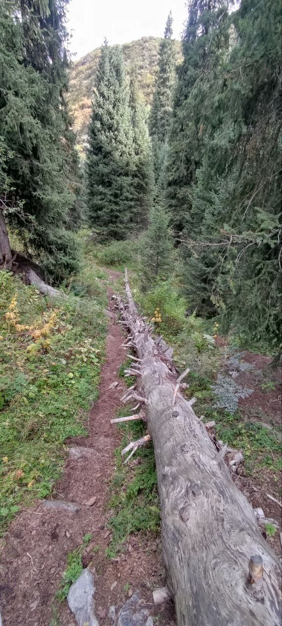 Локация просто фантастическая! Озеро какой-то неземной красоты, лазурного цвета. Как будто это какая-то жемчужинка в горах.