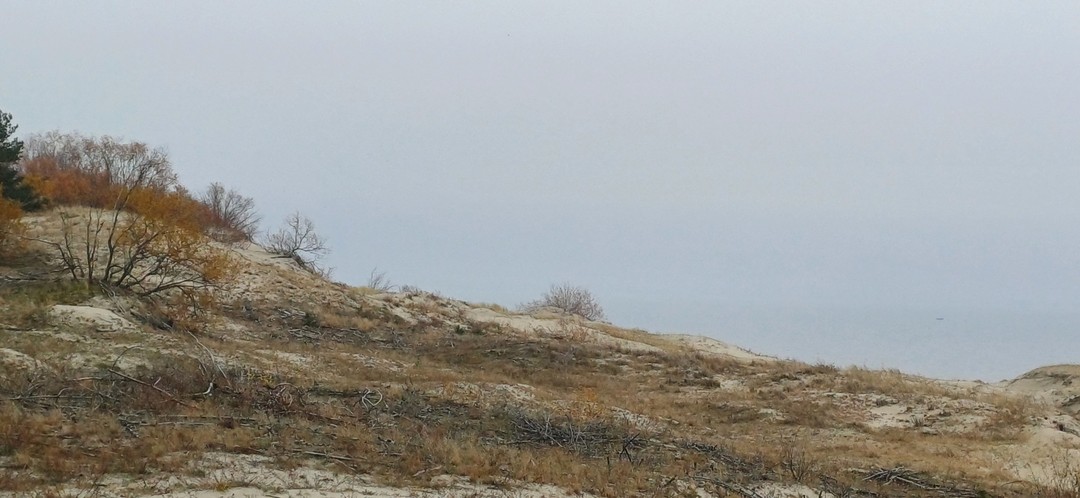 Утренняя Куршская коса, Зеленоградск и замок Нессельбек на автобусе (Александра)