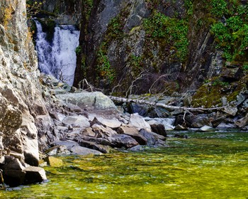 Исследуем Телецкое озеро с воды или с берега