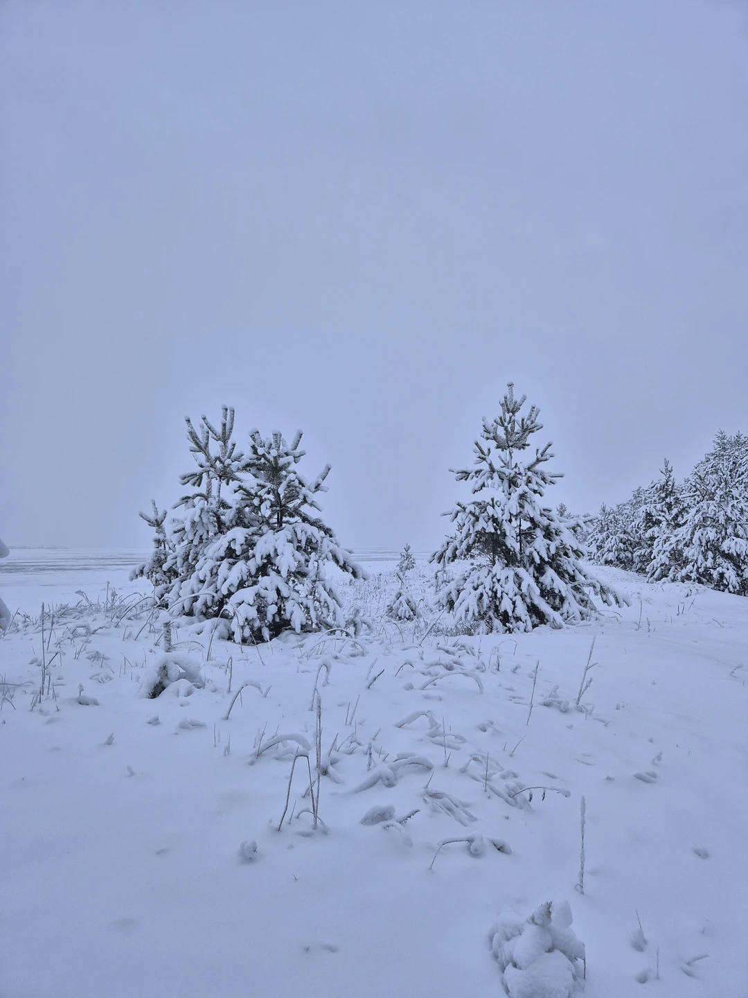 Замечательная экскурсия с отличным гидом. Мои только положительные комментарии и отзывы Сергею. Интересный рассказчик, абсолютный учет