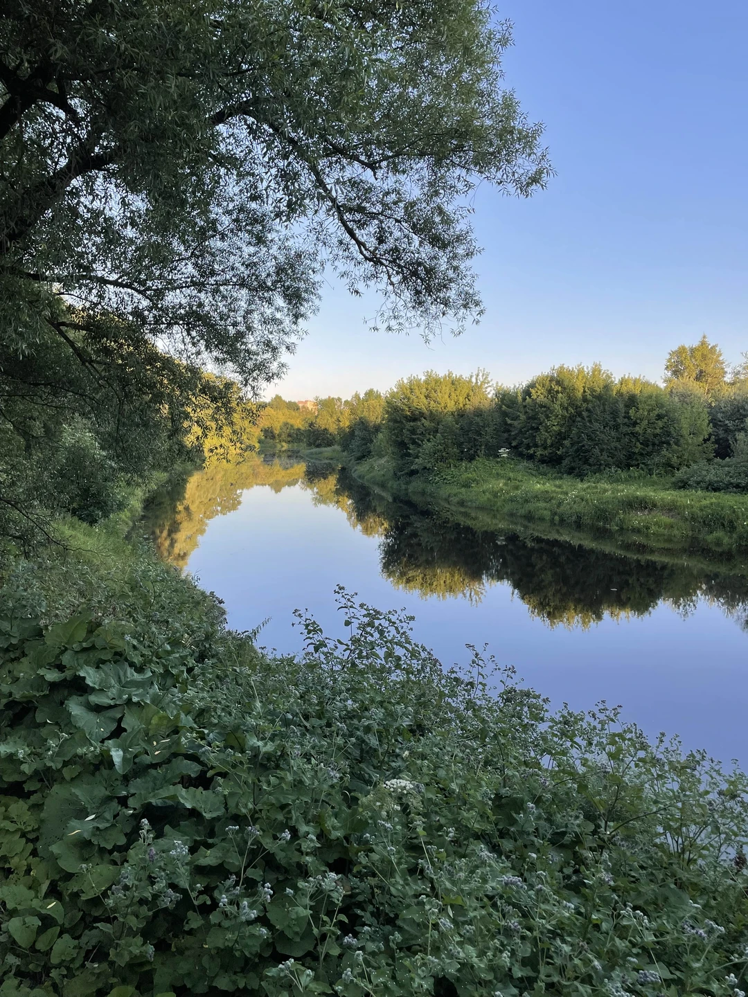 Лучшая экскурсия! Уже рекомендую всем друзьям! Нам было очень красиво и интересно! Спасибо за внимательное отношение к нам!